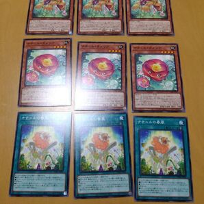 遊戯王 ナチュル まとめ