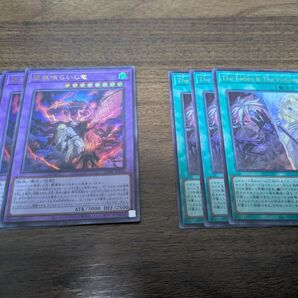 遊戯王 The Fallen & The Virtuous 聖痕喰らいし竜 3枚