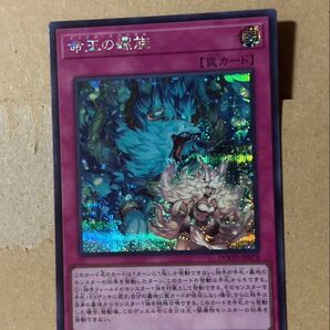 遊戯王 命王の螺旋 DOOD-JP079 罠カード