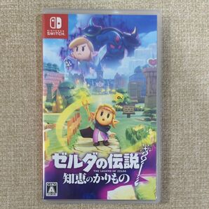 ゼルダの伝説 知恵のかりもの Nintendo Switch ニンテンドースイッチ