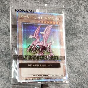 遊戯王 任天堂Switch ホーリー・ナイト・ドラゴン 特典カード