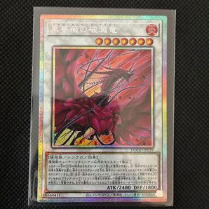 遊戯王 黒薔薇の破滅竜 ブランブル・ローズ・ドラゴン プリズマティックシークレット プリシク