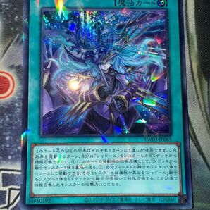 凍てし心が映す神影 パラレル シークレット