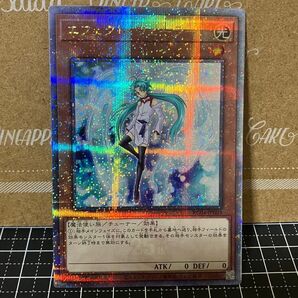 遊戯王 エフェクトヴェーラー 25thシークレットレア 1枚