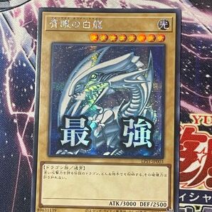 遊戯王 アジアシークレット 青眼の白龍 LPST-JP003