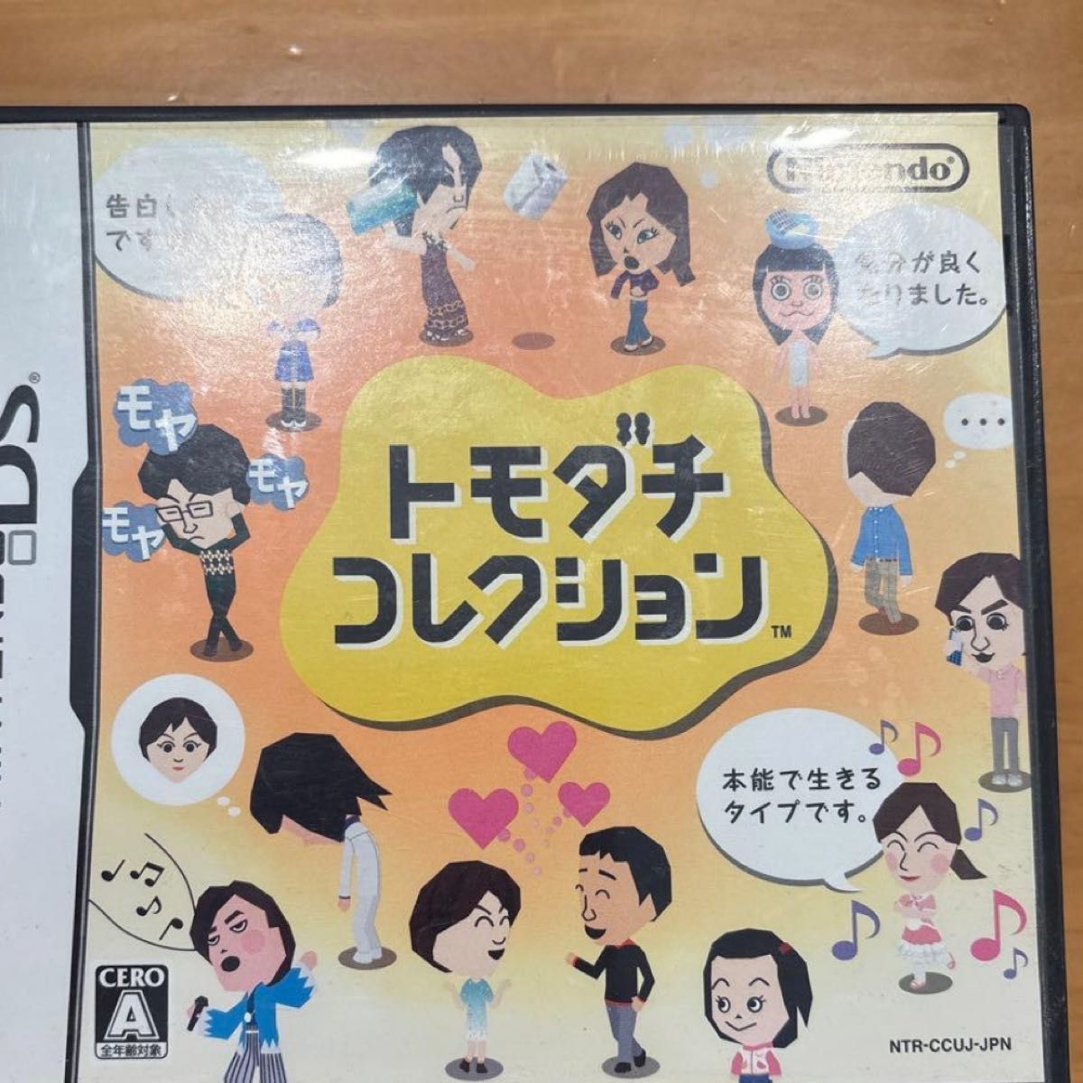 トモダチコレクション ニンテンドーDS