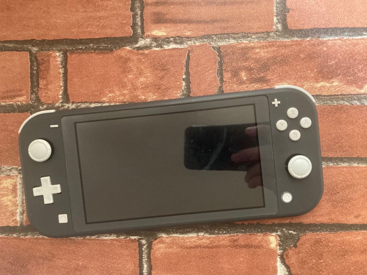 Nintendo Switch Lite ニンテンドースイッチライト グレー 本体