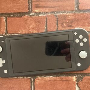 Nintendo Switch Lite ニンテンドースイッチライト グレー 本体