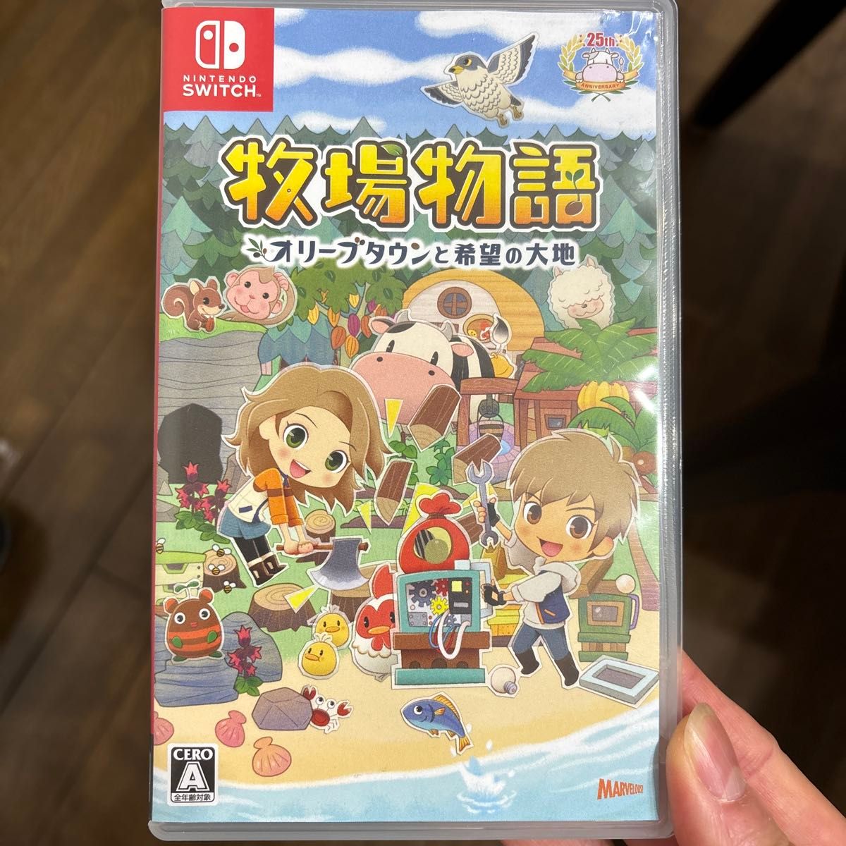 Nintendo Switch 牧場物語 オリーブタウンと希望の大地