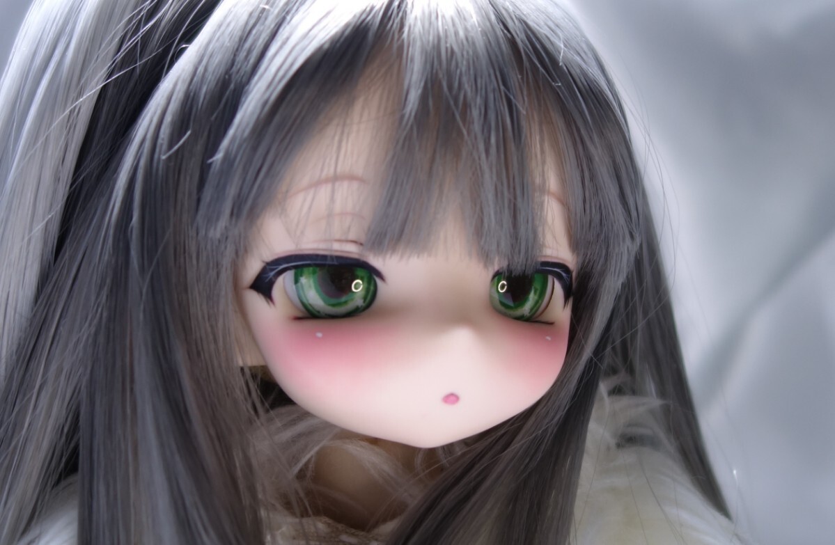〈ひかり〉 カスタムヘッド(SW) ＋レジンアイ　 オリジナルエルフヘッド DDH 互換　2