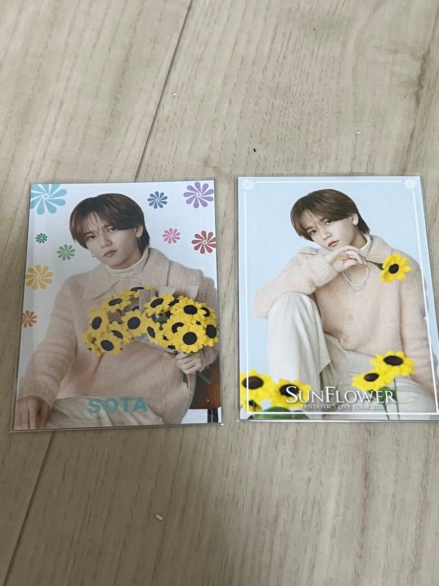 中島颯太 フォトカード FANTASTICS LIVE TOUR 2026 SUNFLOWER 2枚セット二手;物流保障;未使用