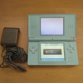 動作確認済み ニンテンドーDS Lite ミントグリーン 本体 充電器付
