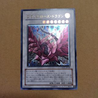 遊戯王　ブラック・ローズ・ドラゴン