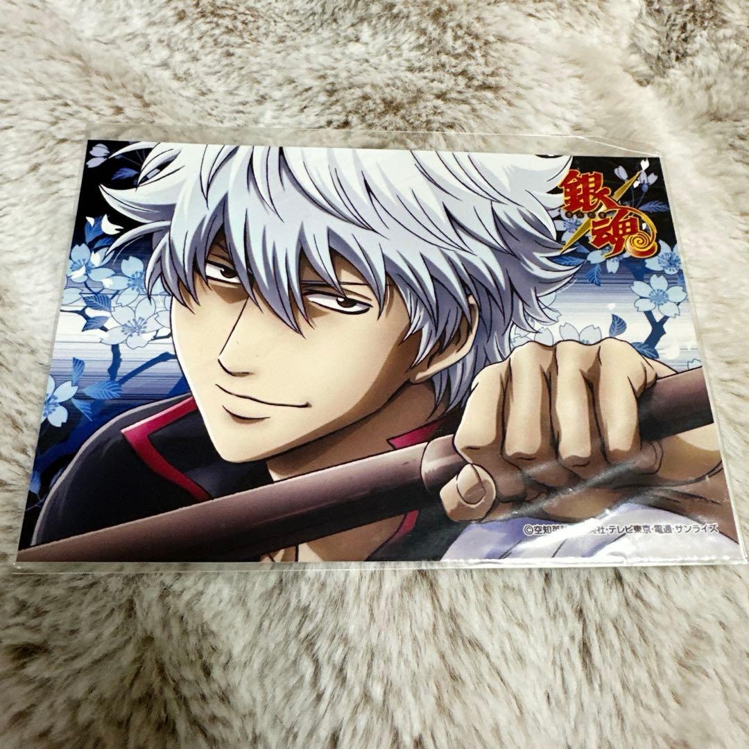 銀魂 ジャンプフェスタ2010 ブロマイド 坂田銀時