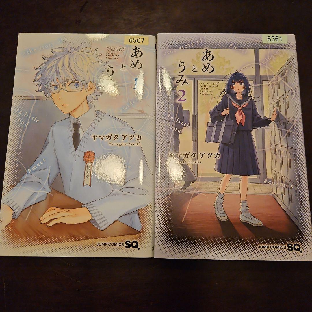 あめとうみ　2巻セット没有明显的损伤或污渍