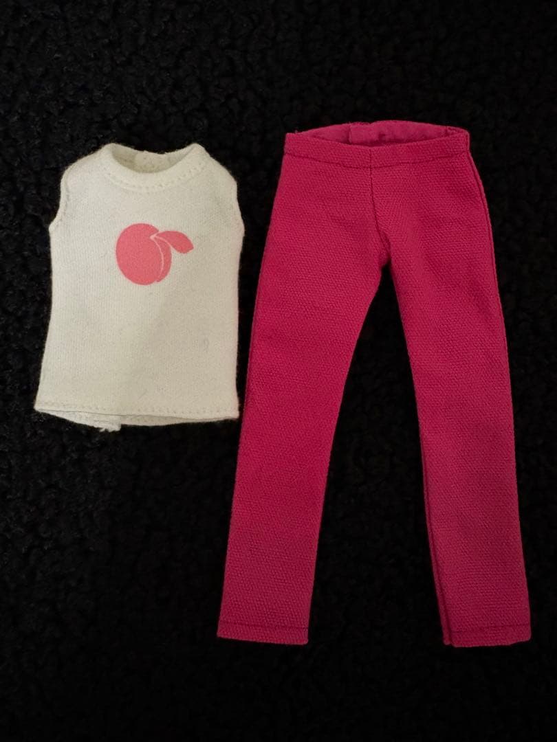 PW-momoko ae DHEXl Repro アウトフィットPet WORKs;接近未使用