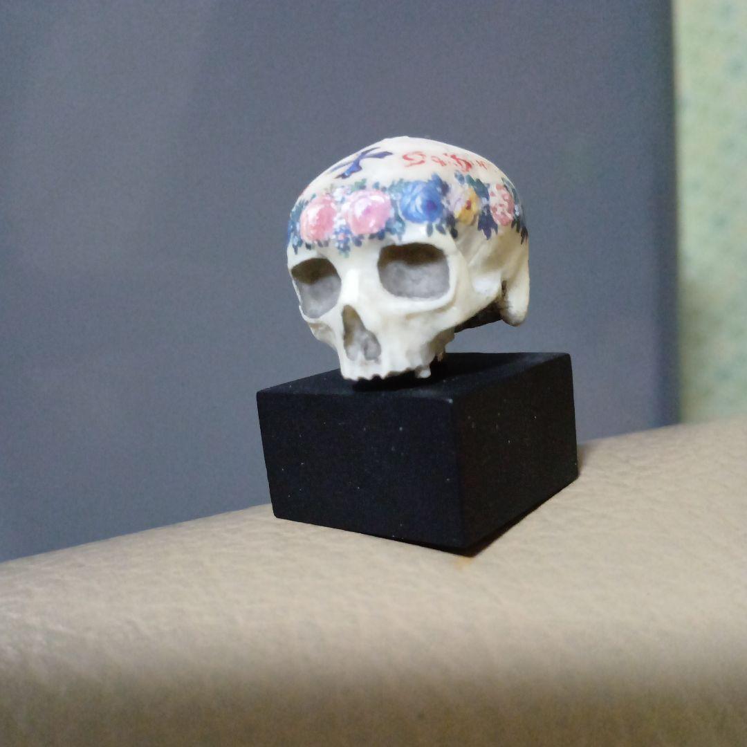 『アンナの頭蓋骨』