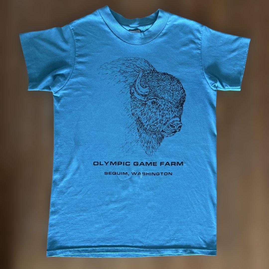 hanes fifty-fiftyヴィンテージTシャツ 80年代ターコイズブルーHanes;有损伤或污渍