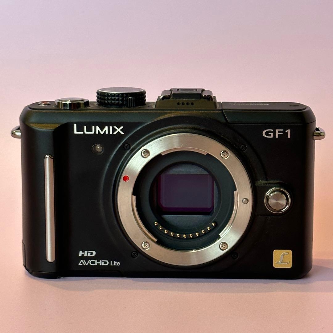 Panasonic LUMIX GF1 ブラック ボディ