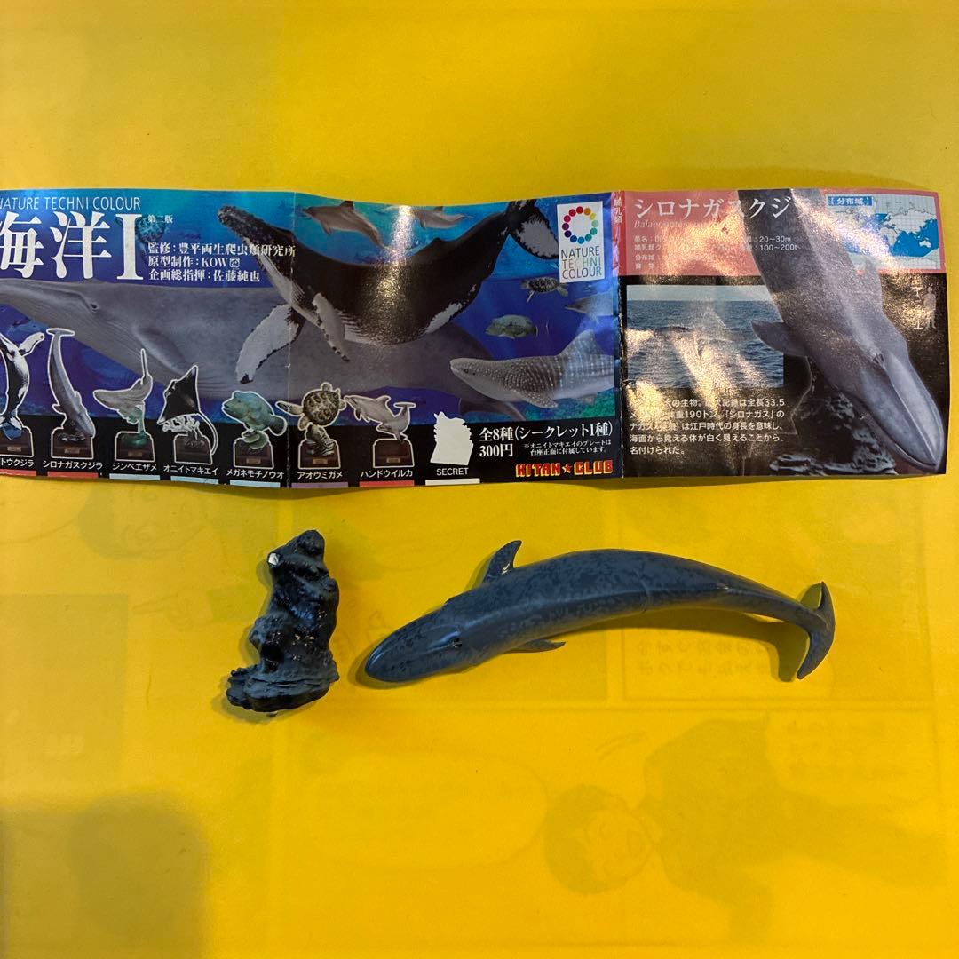 海洋生物フィギュアセット シロナガスクジラ　ジャンク品