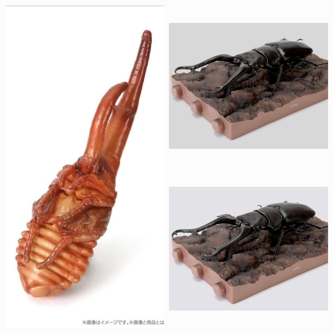 いきもの大図鑑 ヘラクレスオオカブト蛹 ギラファノコギリクワガタ2種セット未使用