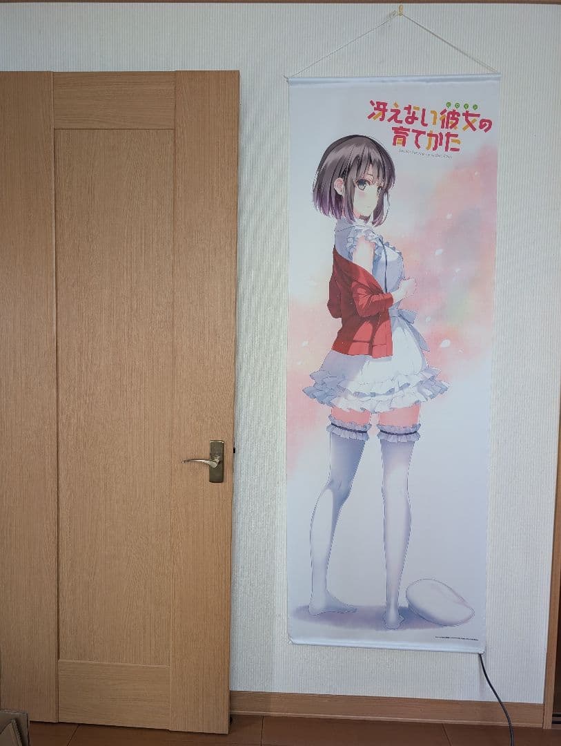 冴えない彼女の育てかた タペストリー クリアファイルセット没有明显的损伤或污渍