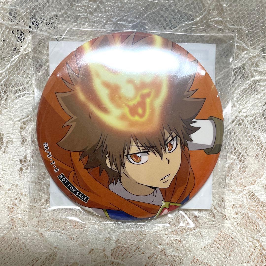 家庭教師ヒットマンREBORN!<沢田綱吉>