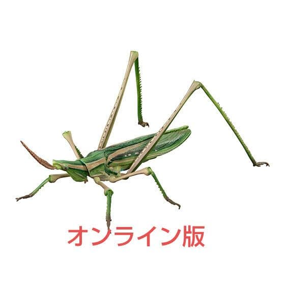 いきもの大図鑑アドバンス　ショウリョウバッタ(緑色)未使用
