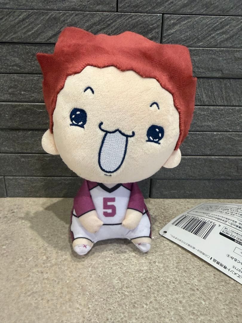 ハイキュー!! もちぴこぬいぐるみ 天童覚未使用
