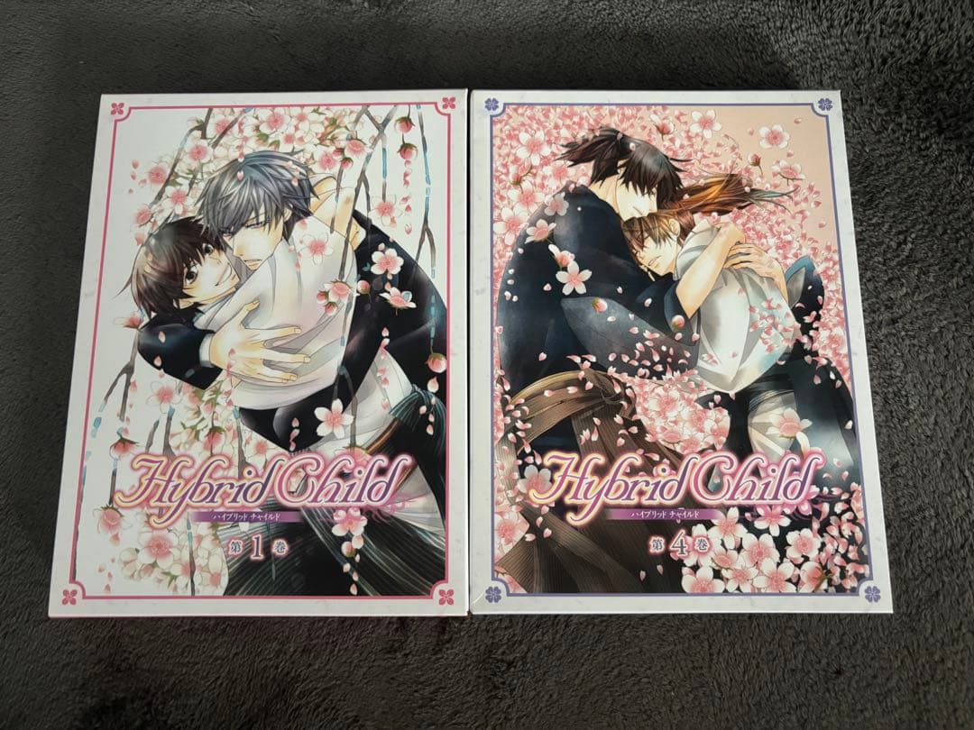 Hybrid Child ハイブリッドチャイルド DVD
