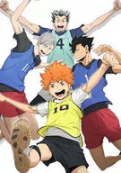 ハイキュー!!セカンドシーズン Vol.2 [初回生産限定版]