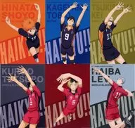 全6種セット A3クリアポスター 「一番くじ 劇場版ハイキュー!! ゴミ捨て場の決戦」 F賞