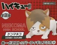 ケンマネコ 「ハイキュー!!」 ぬーどるストッパーフィギュアぷち1