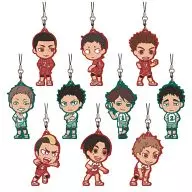 全10種セット ライバル校ラバーストラップ きゅんキャラいらすとれーしょんず 「一番くじ ハイキュー!!～新・ゴミ捨て場の決戦!～」 J賞