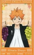 日向翔陽 ミニカード 「ハイキュー!!×SWEETS PARADISE 第2弾」 グッズ購入特典