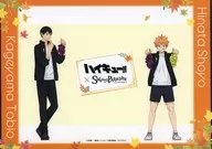 日向翔陽＆影山飛雄 A4ペーパーランチョンマット 「ハイキュー!!×SWEETS PARADISE 第2弾」 コラボカフェ利用特典