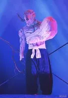 南誉士広(花御)/ライブフォト・キャラクターショット/舞台「呪術廻戦」ランダム舞台写真