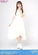 Aqours/小宮有紗/DREAMY COLOR/ラブライブ!サンシャイン!! 沼津地元愛まつり 限定ブロマイド