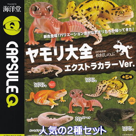 CAPSULEQ ヤモリ大全 エクストラカラーVer. 海洋堂 【人気の2種セット】 GECKO KAIYODO 爬虫類 動物 カプセルQ グッズ フィギュア 守宮 家守 ガチャガチャ カプセルトイ【即納 在庫品】【数量限定】