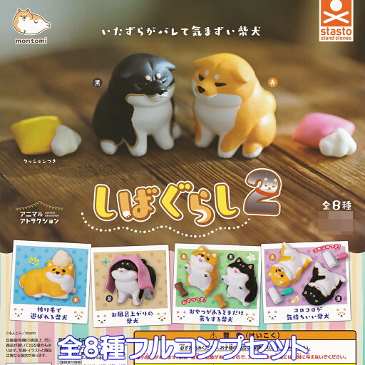 しばぐらし2 スタンド・ストーンズ 【全8種フルコンプセット】 アニマルアトラクション montomi もんとみ 柴犬 動物 ミニチュア グッズ フィギュア ガチャガチャ カプセルトイ【即納 在庫品】【数量限定】【フルコンプリート】