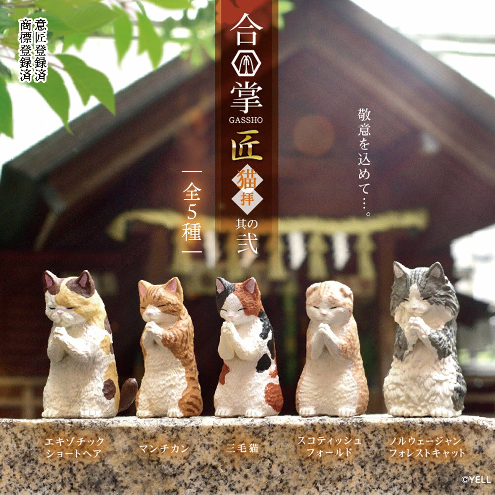 【5種類セット】ガチャ ガチャガチャ コンプリート 中身 動物 猫 ネコ かわいい フィギュア おもちゃ [ 合掌 匠〜猫拝〜其の弐 ] エキゾチック マンチカン 三毛猫 スコティッシュ ノルウェージャン