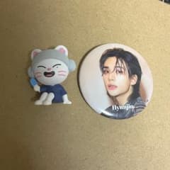 straykids 缶バッジ your hero サウナskzoo セット