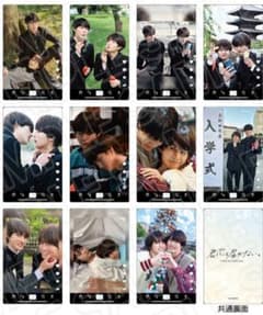 君には届かない　コレクションカード　コンプリート　グッズ　前田拳太郎　柏木悠