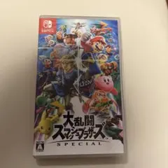 Switch 大乱闘スマッシュブラザーズ ソフト ケース付き