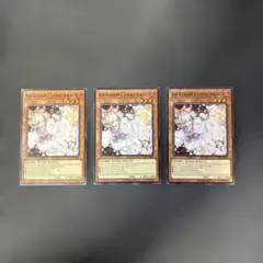 遊戯王カード 英語版 灰流うらら ノーマル 3枚セット