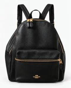 coach f29004 charlie backpack
