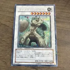 遊戯王 ナチュル・ランドオルス DT07-JP042