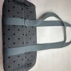 水玉バッグ（ウィッシュコア）