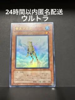 遊戯王　黄泉ガエル　ウルトラ
