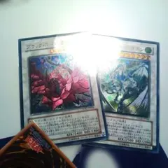 遊戯王　状態難　ブラックローズドラゴン　スターダストドラゴン　レリーフ2枚セット